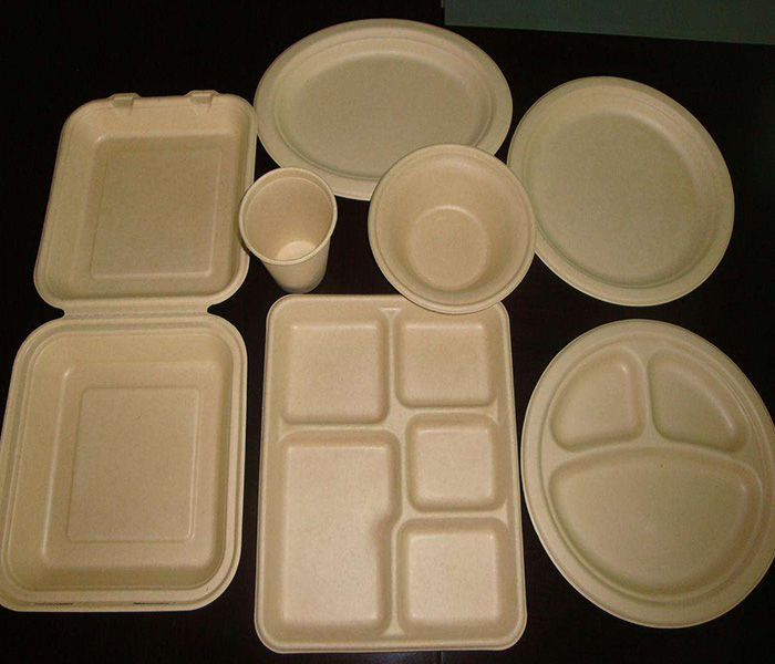 環(huán)保紙漿模塑歷來(lái)發(fā)展與應(yīng)用有哪些？